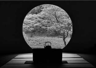 Про чувства и эмоции