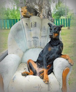 Интересные истории