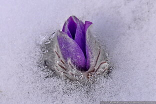 Современные Любовные Романы