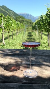 Розовое вино 