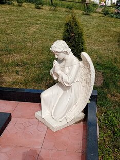 Рязанский край. 