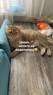 Всё дозволено🤣