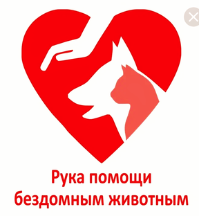 Жизнь