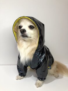 Дождевики 