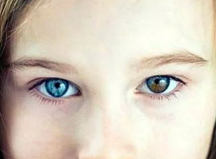 Увлечения и бытовуха