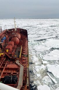 Явления природы 