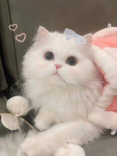 МиМиМи😍