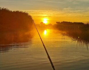 Путешествия