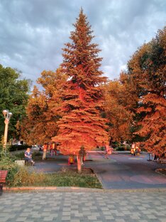 Скверы Самары