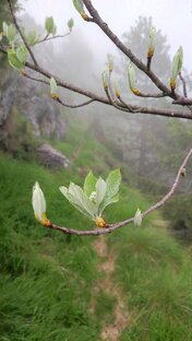 Природа Италии