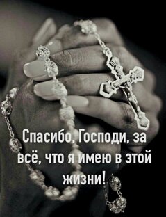 Жизнь, как она есть 