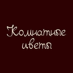 Комнатные цветы