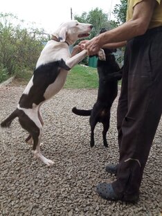 Постояльцы Обители