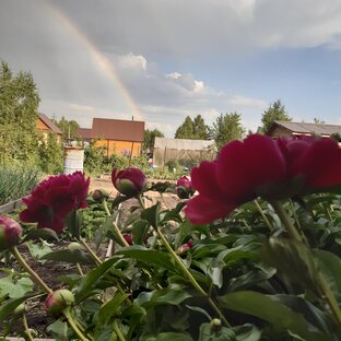 Дача - это маленькая жизнь