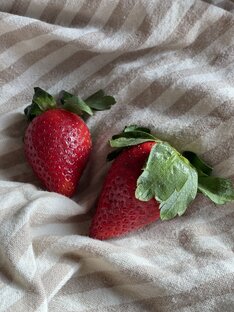 Любимые рецепты 🍓