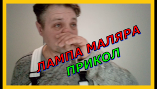 Мои коротыши #Shorts