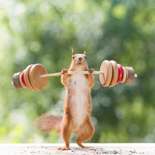 ТИПИЧНАЯ ТРЕНИРОВКА МП