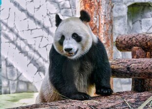 Зоопарк на канале "Дмитрий Март" 