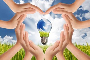 Бережём экологию и семейный бюджет 🌱👛