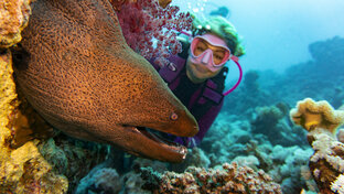 Подводный мир