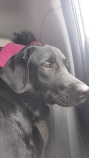 Шёл ноябрь, елки наряжались, готовились к празднику!