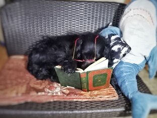 Книжные рекомендации