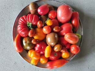 Огородный сезон 2023