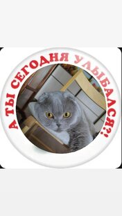 Юморина