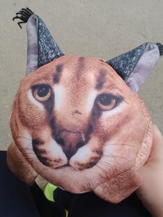 Шлёпа