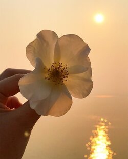 Советы от Дзена