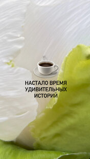 Петербургские истории