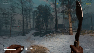 Симуляторы выживания