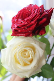 Рассказы из двух частей