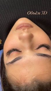 Все о ресницах