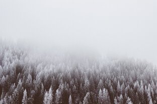 «Грех и расплата» - Цикл рассказов