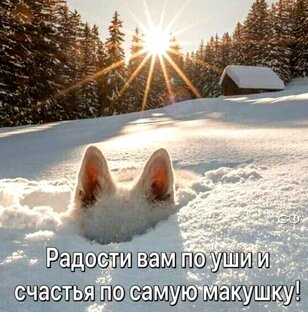 Новогодние праздники