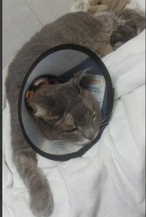 Сынок, живи!