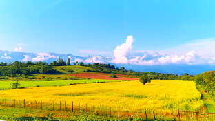 Два дня в Абхазии