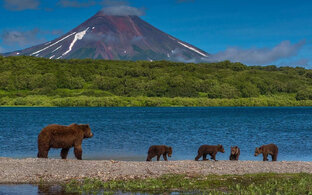 ФИЛЬМЫ О РОССИИ