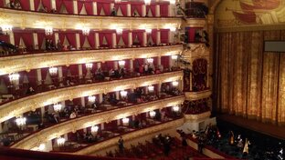 Театры, музеи, выставки