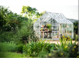 Сад и огород