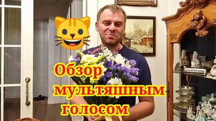 Мои Мурляндские обзоры