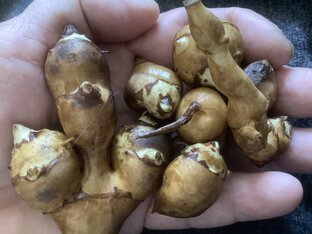 У нас есть всё, чтобы жить, но иногда приходиться выживать 