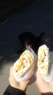Шаурма🥰😋