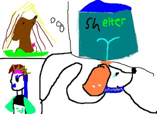 Жизнь Найды