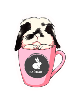 Про антикафе "Зайкафе" 