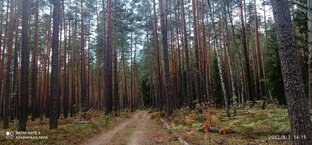 Походы с Казанского на Горьковское напр. ЖД