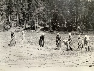 Не придуманные истории 