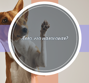Налоговая