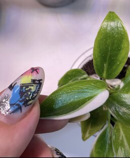 Спасение принцессы